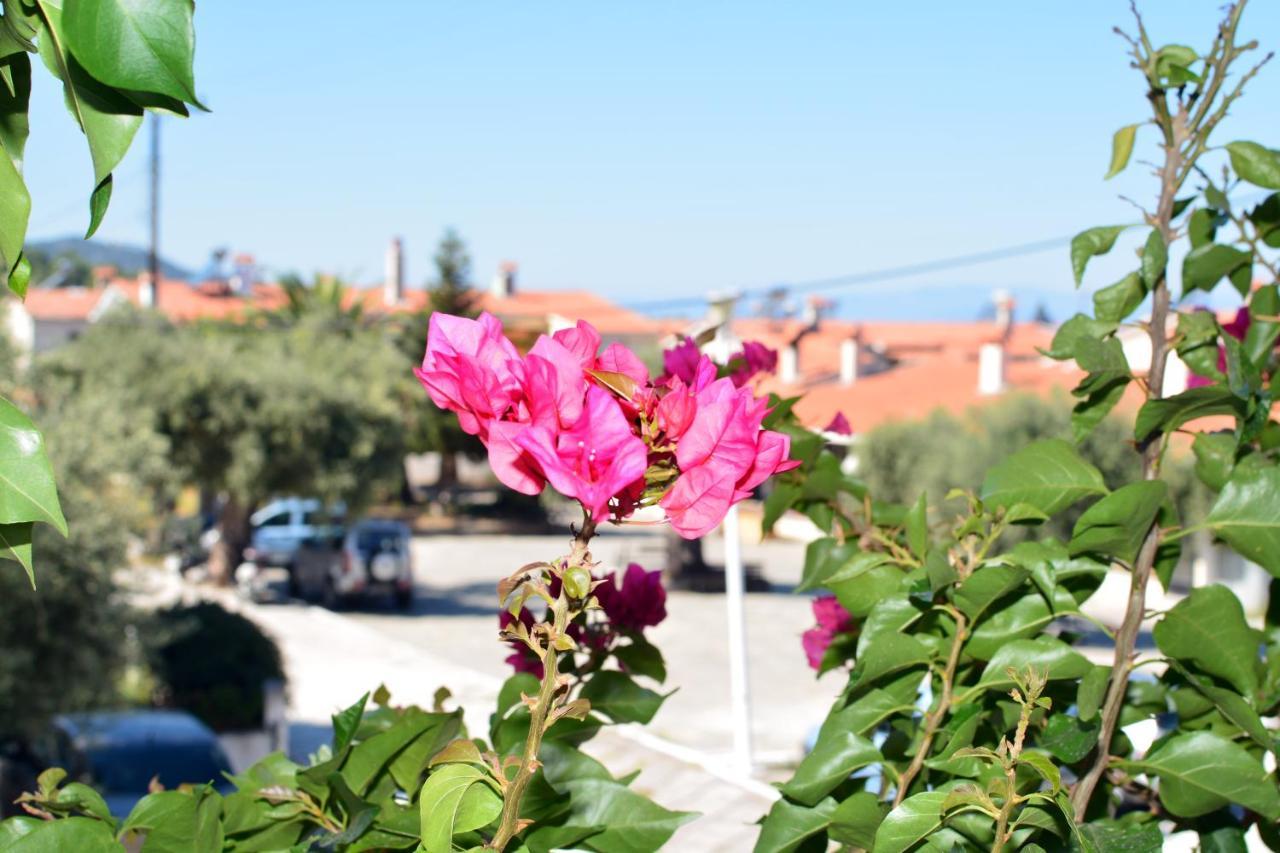 Blue North Luxury Apartment Thasos Extérieur photo